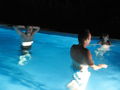 Poolparty 2008 41279200