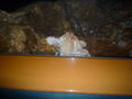 Barcelona 09 64601661