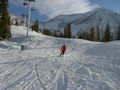 Snowbird Nov.08 49425791