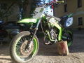 Rieju Monster Energy Replica 61400691