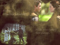 legend of the seeker richard 71355394