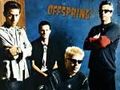 The Offspring 41081121