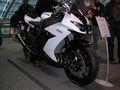 Motorradmesse 2009 52770900