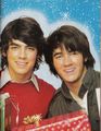 jonas brothers 41229433