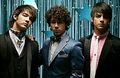 jonas brothers 41229449