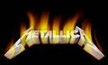 Metallica *rock* 50340447