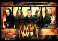 Korn 50341887