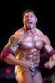 Batista und John Cena 46909777