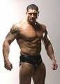 Batista und John Cena 46909782