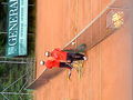 Tennistraining  *ggg* 64972468