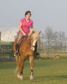 *-*ReiTeN*-* 57370272