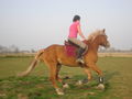 *-*ReiTeN*-* 57371495