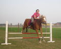 *-*ReiTeN*-* 57371515