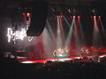 24.01.2010 Nickelback konzert 71319553