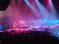 24.01.2010 Nickelback konzert 71319631