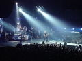 24.01.2010 Nickelback konzert 71320116