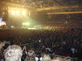 24.01.2010 Nickelback konzert 71320476