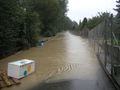 Hochwasser Steyr 2002 43525976