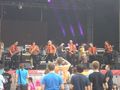 Donauinselfest 2010/Wien 73975297