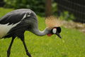 Tierpark Stadt Haag 60434524