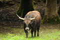 Tierpark Stadt Haag 60499733