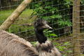 Tierpark Stadt Haag 60504403