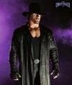 Undertaker 41399713