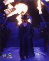 wrestling dx, undertaker 41339181