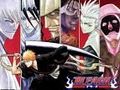 bleach 41346414