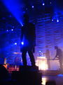 Kaiser Chiefs Konzert 2009 53656394