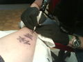 My Tattoo 41525048