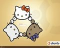 ~*HeLlo Kitty*~ 49384830