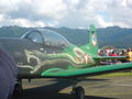 Zeltweg Flugshow 2009!! 62024172