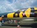 Zeltweg Flugshow 2009!! 62024277