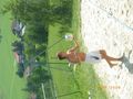 Beachvolleyball in Peilstein 65742306