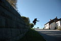 NSC Skate Pics 46656257