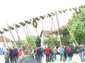 maibaum 09 59028558