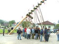 maibaum 09 59028751