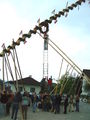 maibaum 09 59028977