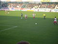 Salzburg-Ried 0-1 63798200