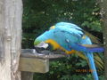 Im Tierpark Wels 45610850