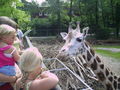 zoo schmieding 42566461