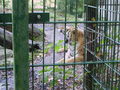 haager tierpark 47318212