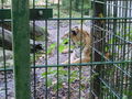 haager tierpark 47318262