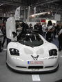 Luxus Motor Show 17.01.09 52345032