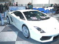 Luxus Motor Show 17.01.09 52345181