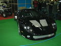 Luxus Motor Show 17.01.09 52345237