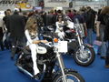 Bike Messe Linz 24.08.09 52595019