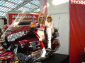 Bike Messe Linz 24.08.09 52595203