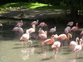 Tierpark Schmiding am 31.8.2009 66119318